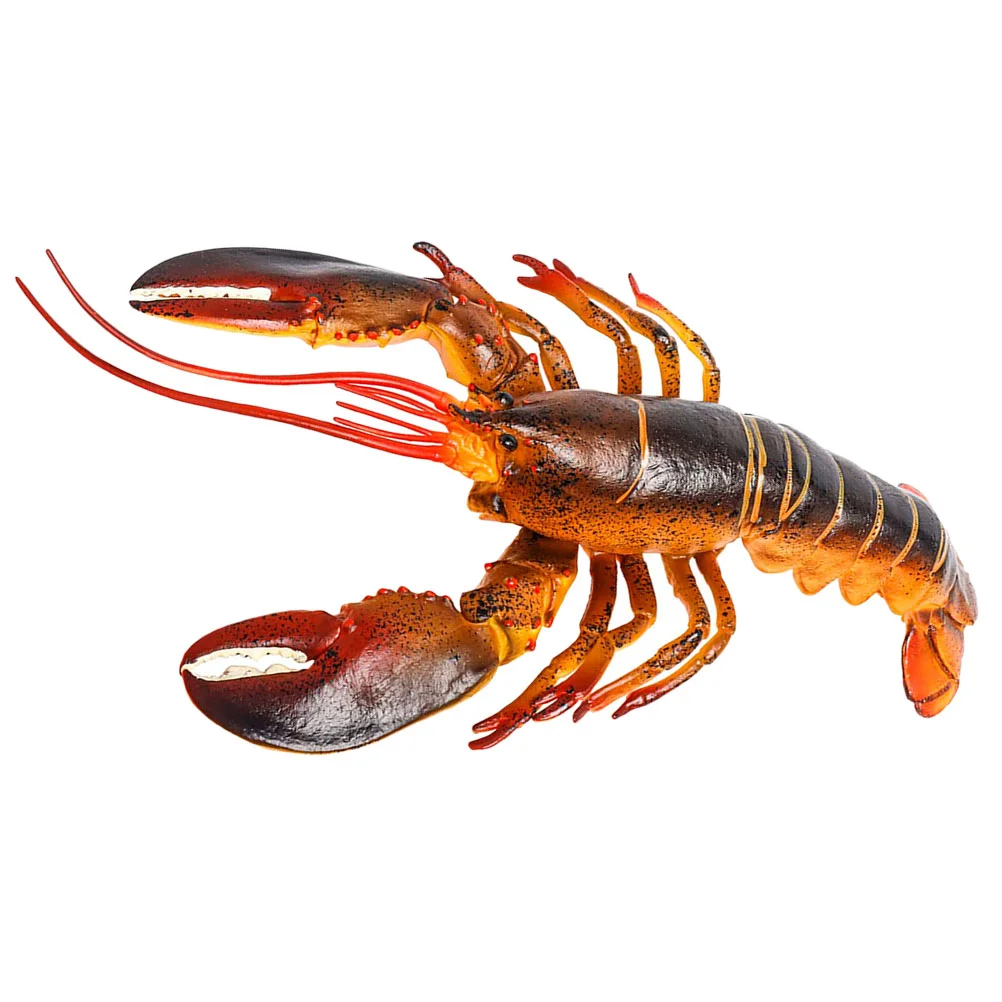 

Simulation Lobster Model Lobster Figure Lobster Toy Simulation Animal Educational Model