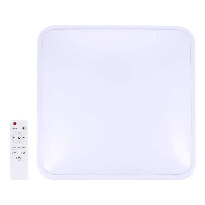 

Wireless Ceiling Light Ceiling Lamp Practical Balcony Light