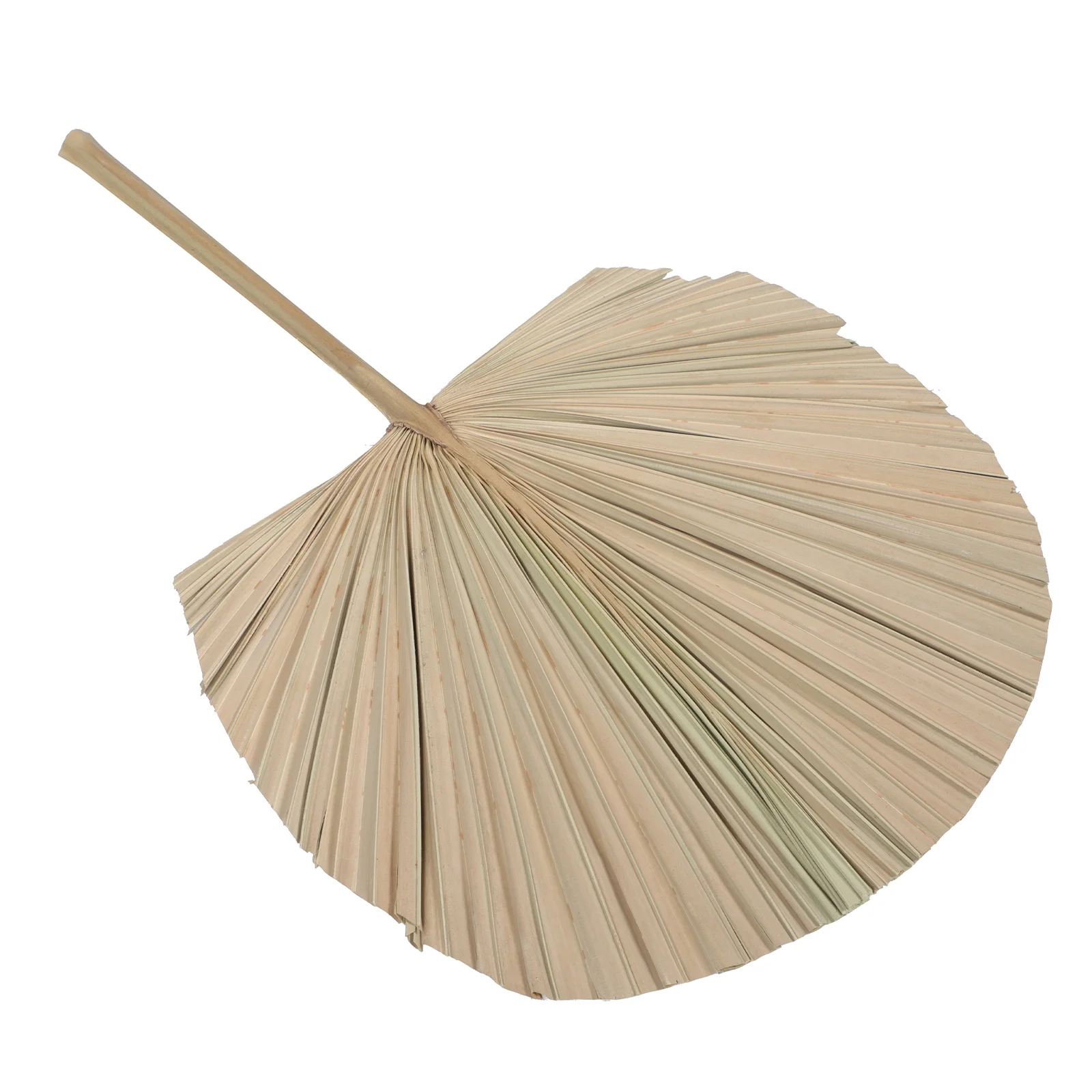 

Sunflower Leaf Chic Palm Fan Ornament Adornment Photography Prop Wedding Decor Multi-purpose Dry
