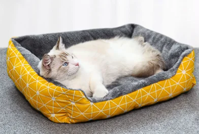 Kennel четыре сезона Новинка искусственная большая маленькая и средняя собака из