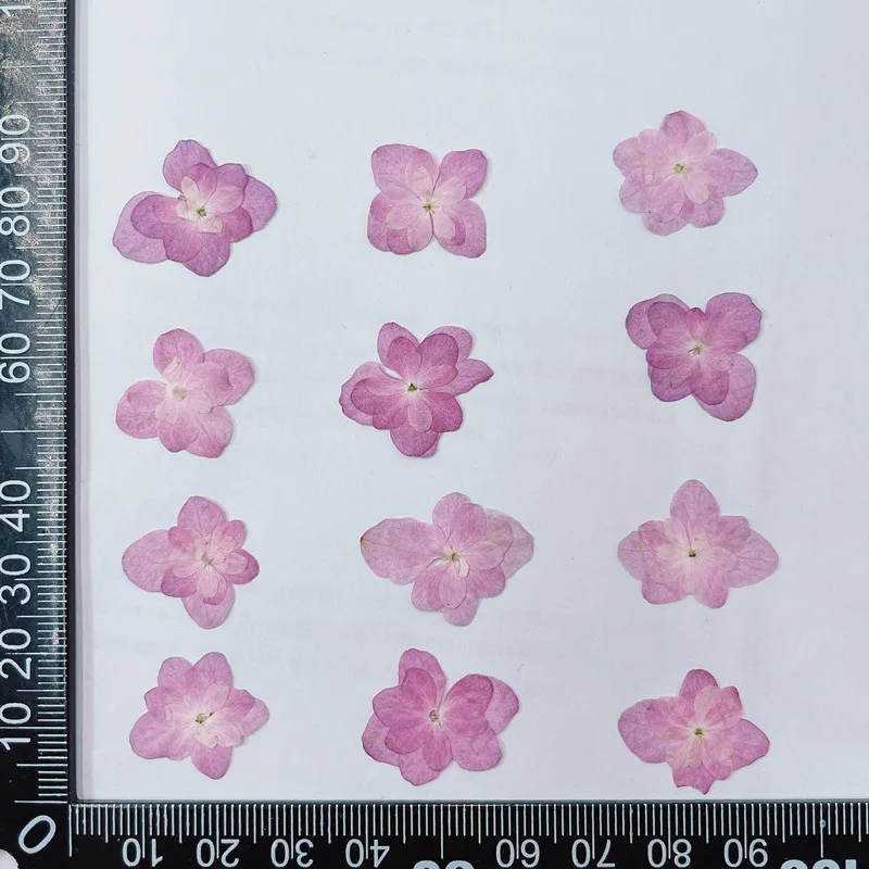 Прессованные цветы гортензии NYAConfetti 12 шт.