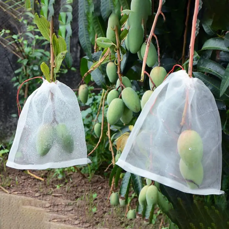 

50pcs Garden Fruit Net Bags Garden Plant Fruit Protection Netting Covers Bags