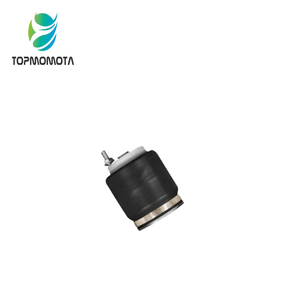 

Одна пара амортизаторов для RENAULT truck 5010092916