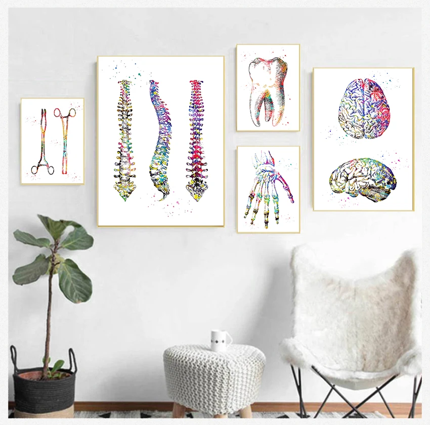 

Painting Nordic s And Prints Wall Pictures For Doctor Office Decor Anatomy Art Human Heart Brain Lungs Wall Art Canvas