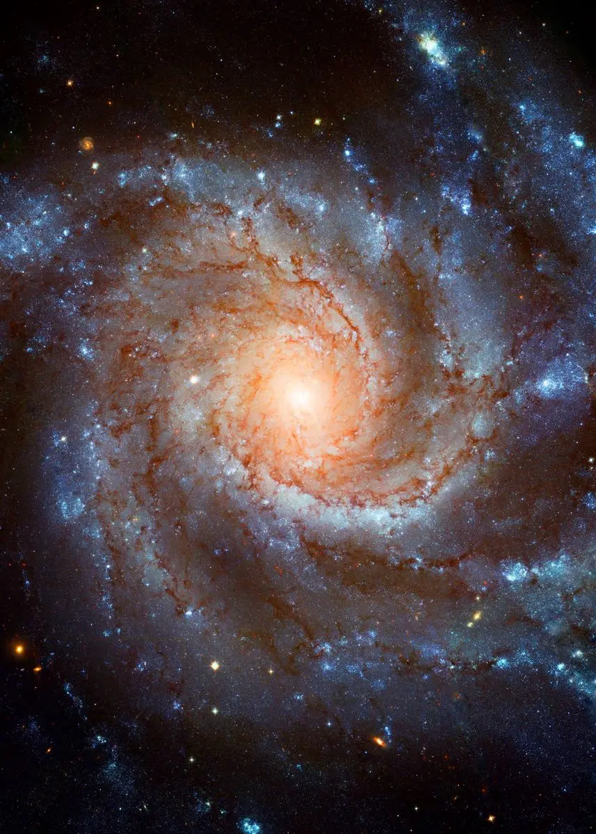 

Плакаты "Планета Венера и Земля"