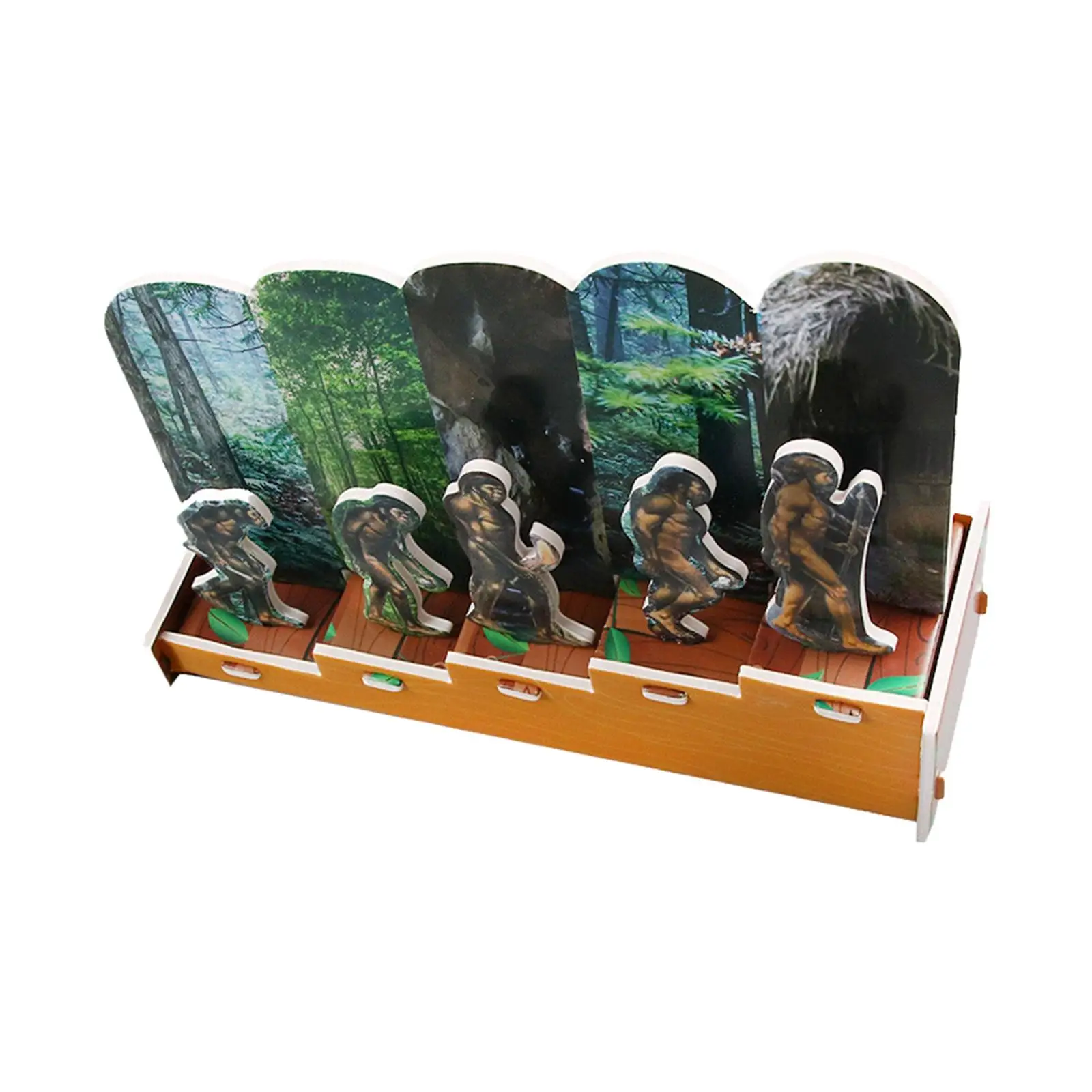 

Human Historical Toy Puzzle Exquisite Display Toy Stem Toys Children's Popular Science Education Toys for Kids Girls Preschool