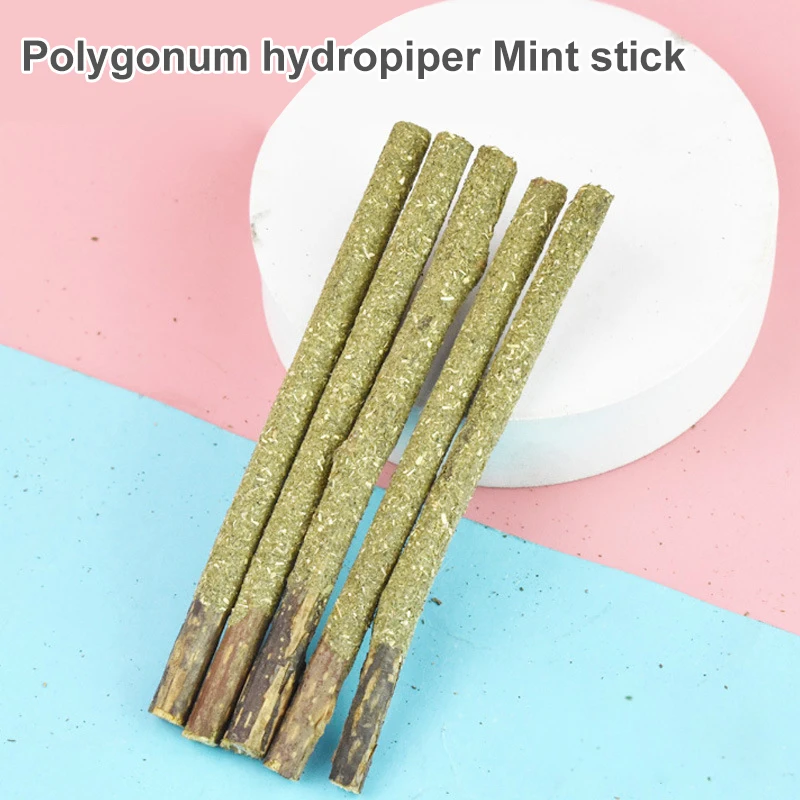 

Natural Catnip Stick Cat Cleaning Teeth Molar Toothpaste Stick Silvervine Actinidia Fruit Cat Snacks Sticks Pet Cat Cleaning