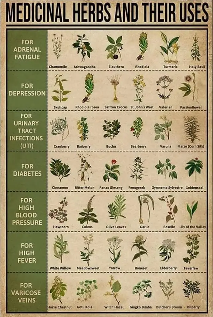 

Металлическая табличка с изображением трав