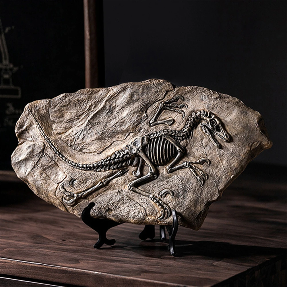 

Dinosaur Fossil Figurines Sculpture Creative Dinosaur Skull Resin Crafts Home Desk Decoration Accessories For Indoor Living Room