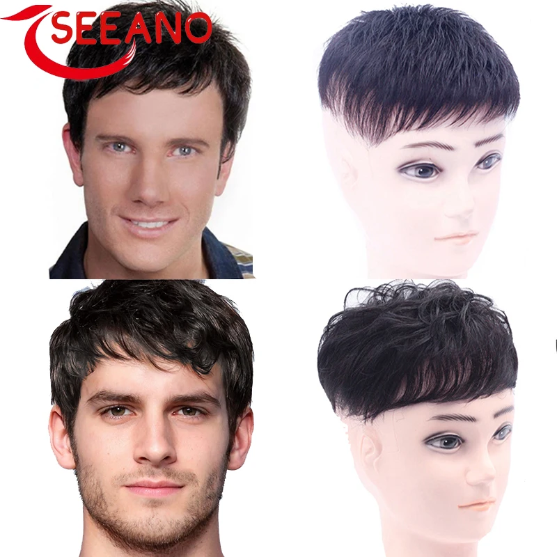 

SEEANO Synthetic Short Wig Men's Top Head Toupee Natural Black Straight Natural Hair Suitable With Hair loss and White Hair
