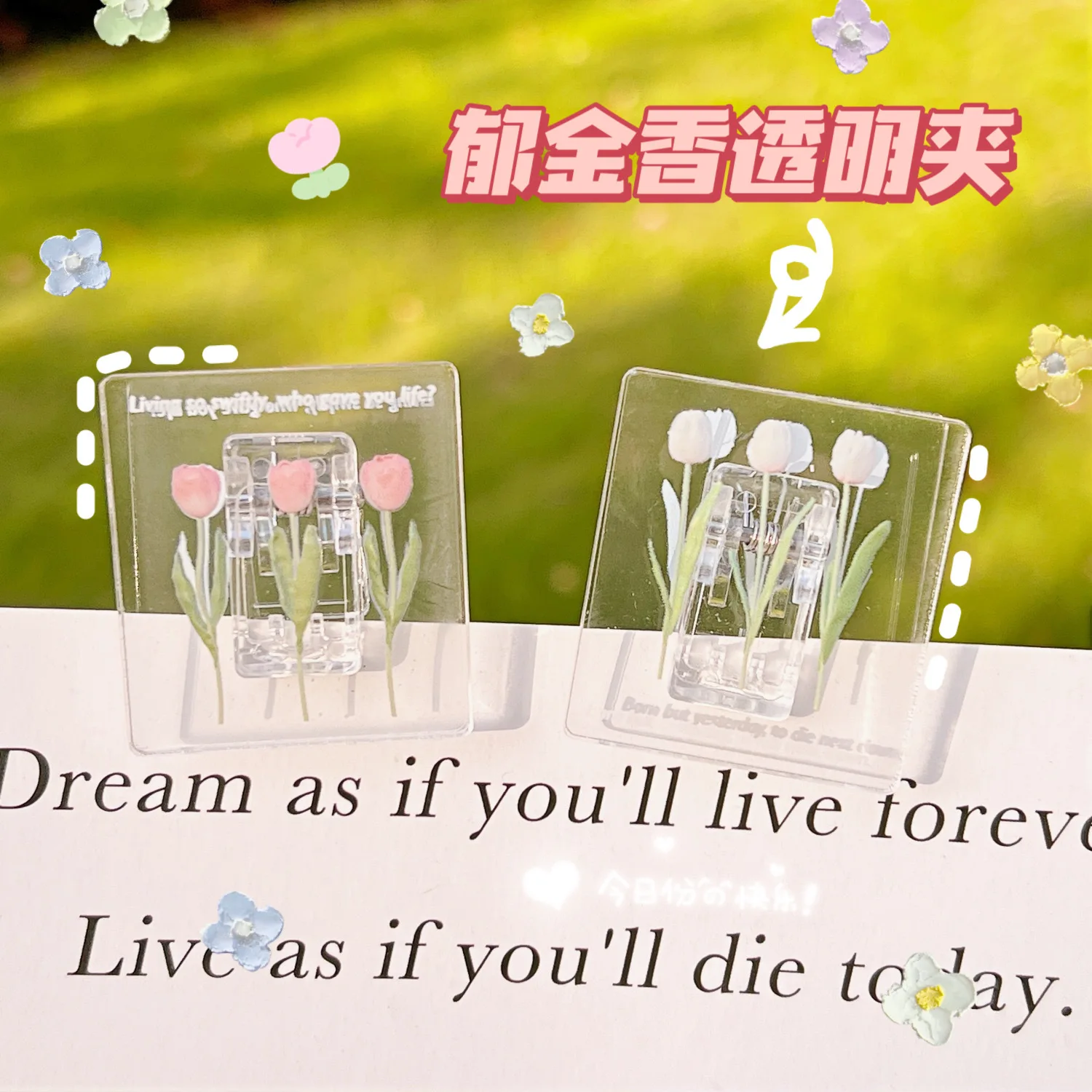 3 Pieces of Tulip Folder Acrylic Simple Long Tail Color Square Candy Manual Account Arrangement | File Folders