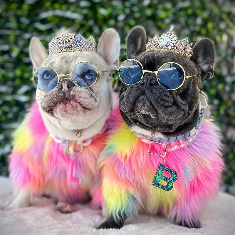 Одежда для собак и кошек теплый мягкий Радужный свитер модная одежда домашних