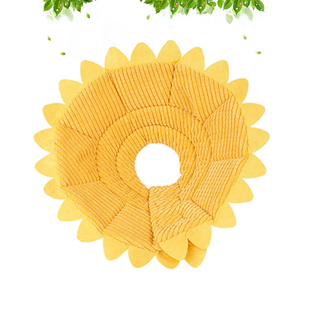 

Collar Dog Cat Cats Cone Neck Soft Cones Surgery After Elizabethan Pet Collarsrecovery Kitten Sunflower