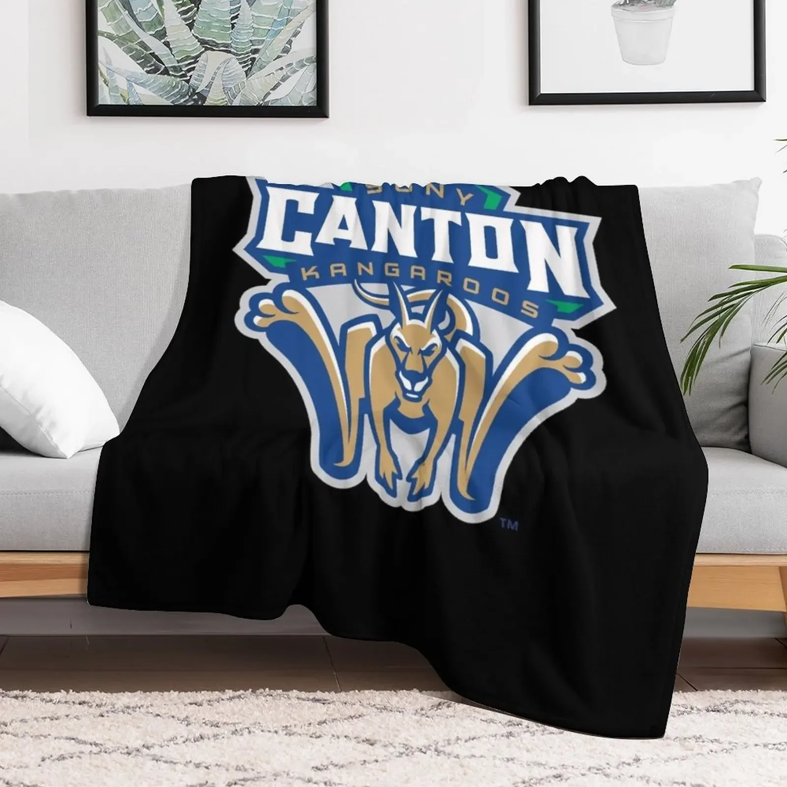 Одеяло SUNY Canton cangaroos гигантский диван милые декоративные туристические одеяла для