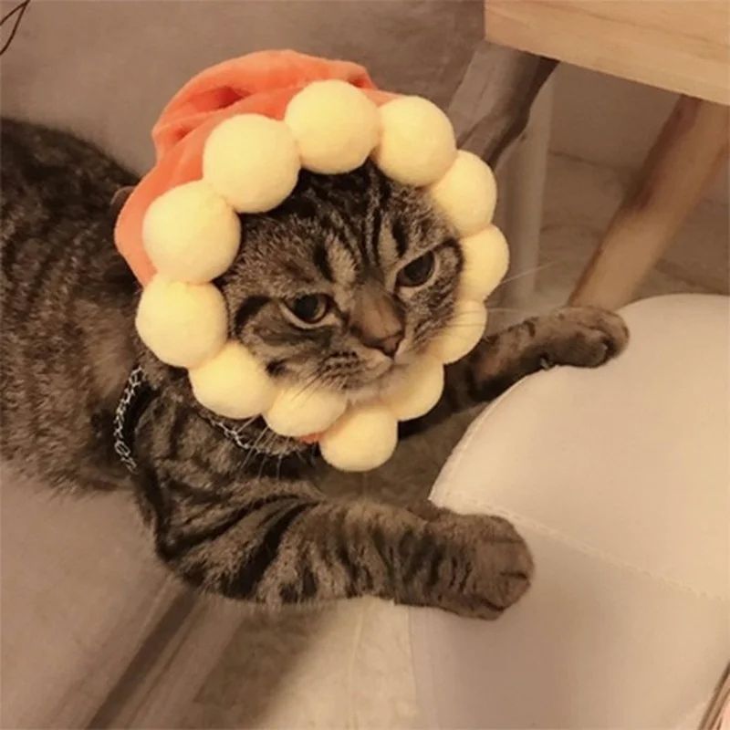 

Головной убор для домашних животных, кошка, Подсолнух, Рождественский костюм, женский костюм для косплея, сохраняющий тепло головной убор, п...