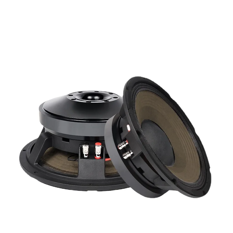 

12-дюймовый басовый динамик 100-Core 220 Магнитный мощный средний басовый динамик