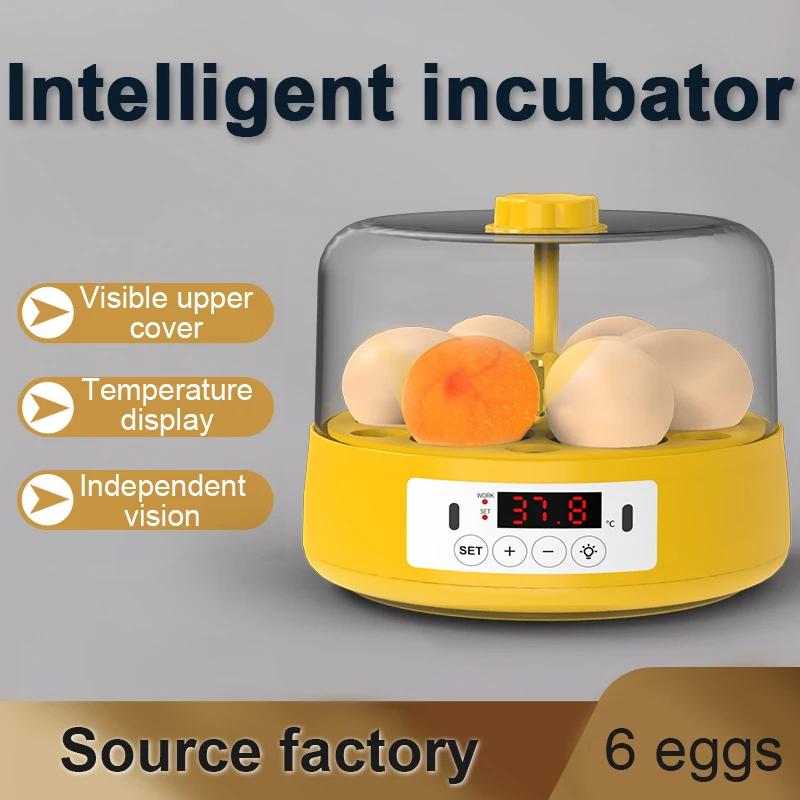 

Mini 6 Eggs Incubator Hatcher Digital Poultry Temperature Control Egg Candler For Birds Goose Chicken Duck Quail Supplies