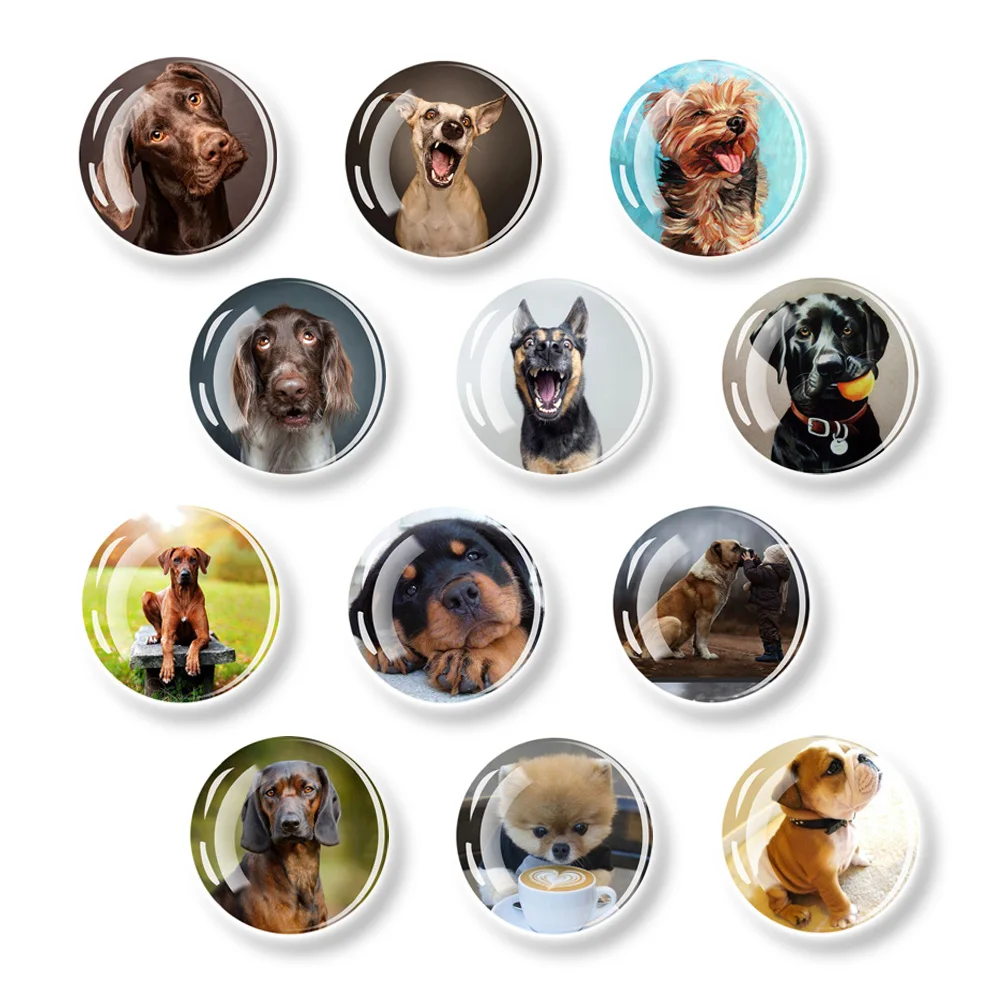 

Dog Fridge Magnet Gift Box Puppy Sticker 12pcs 30MM Glass Dome Magnetic Note Holder for Refrigerator Decoration Home Decor