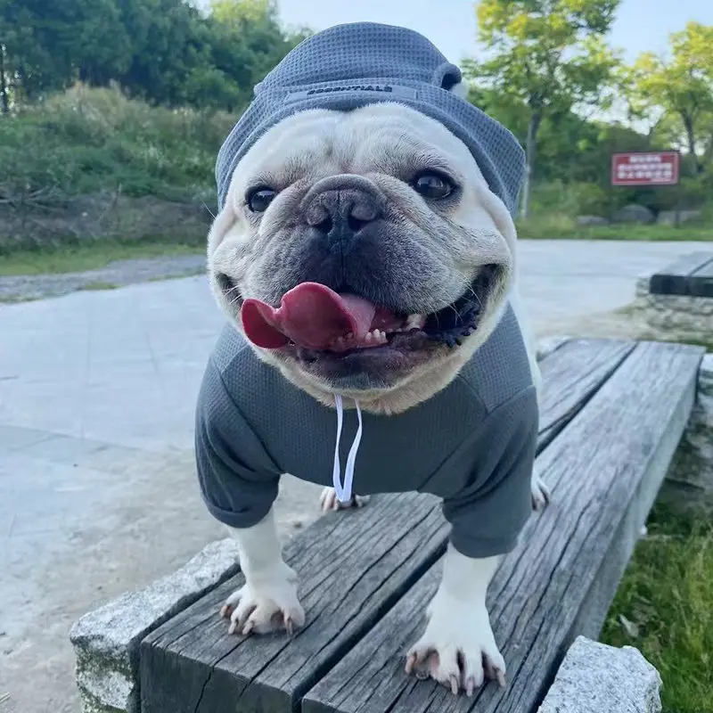 

Dog Sweatershirt with Hat Design Luxury Dog Clothes for Small Big Animals Pets Cats B1601
