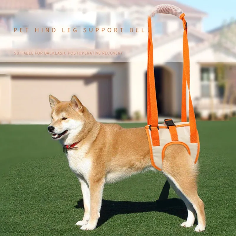 

Поддерживающий ремень для задней ноги домашних животных, дышащая ткань Оксфорд, регулируемый вспомогательный пояс двойной фиксации для пожилых собак, новый стиль