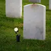 Изображение товара 1