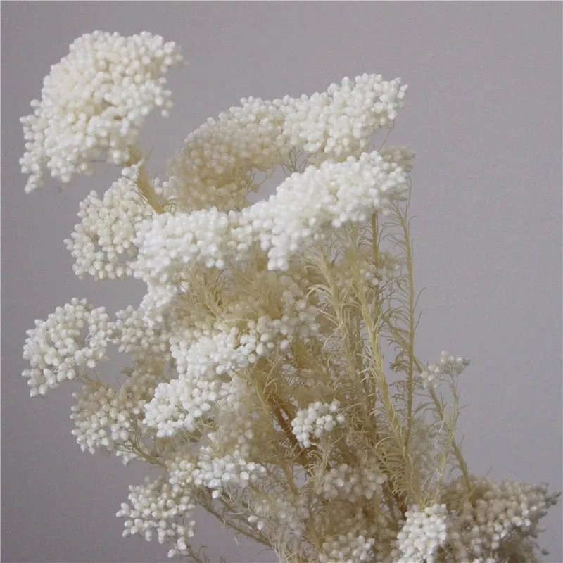 

50g Natural Millet Fruit Dried Flower Artificial Flowers Living Room Decoration Wedding Gift For Guest Wedding Halloween Pampas