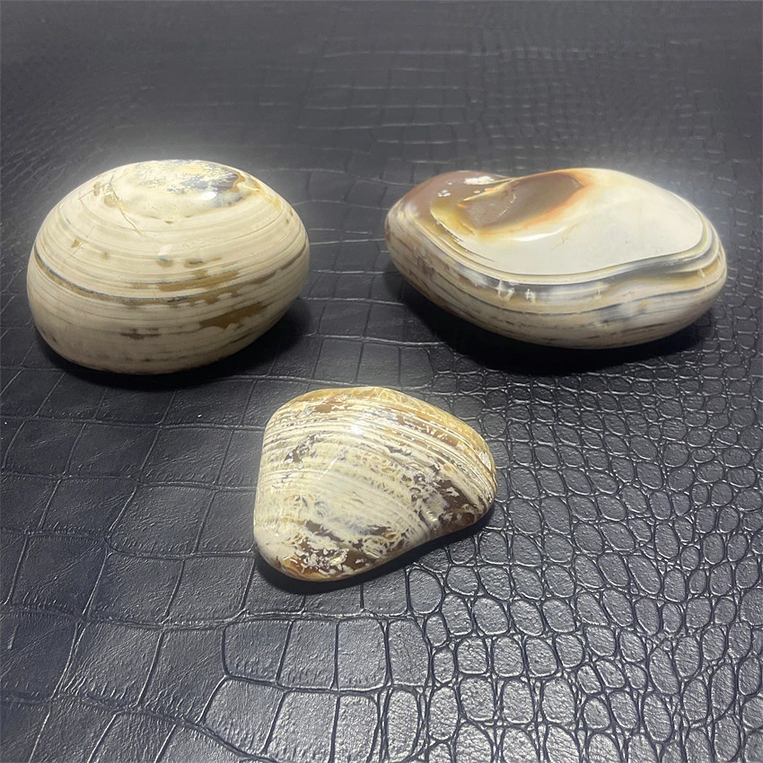 Натуральные кристаллы океанская яшма свободная форма красочное высокое