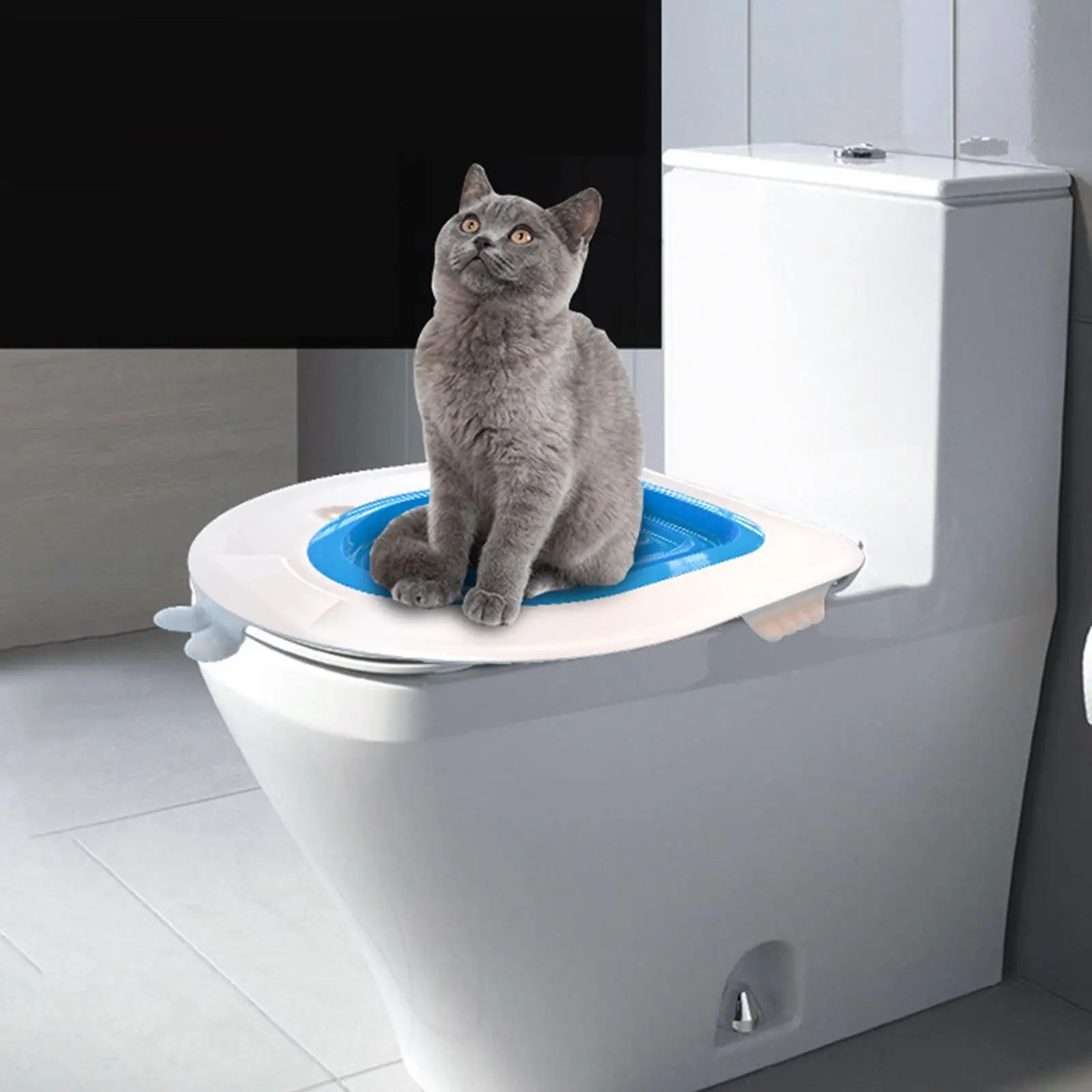 Профессиональный штатив для тренировок в помещении |