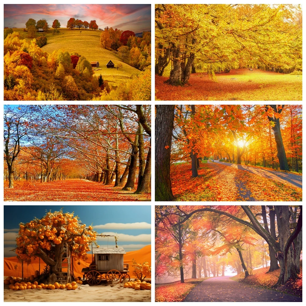 Фон для фотосъемки осенний лес золотые опавшие кленовые листья