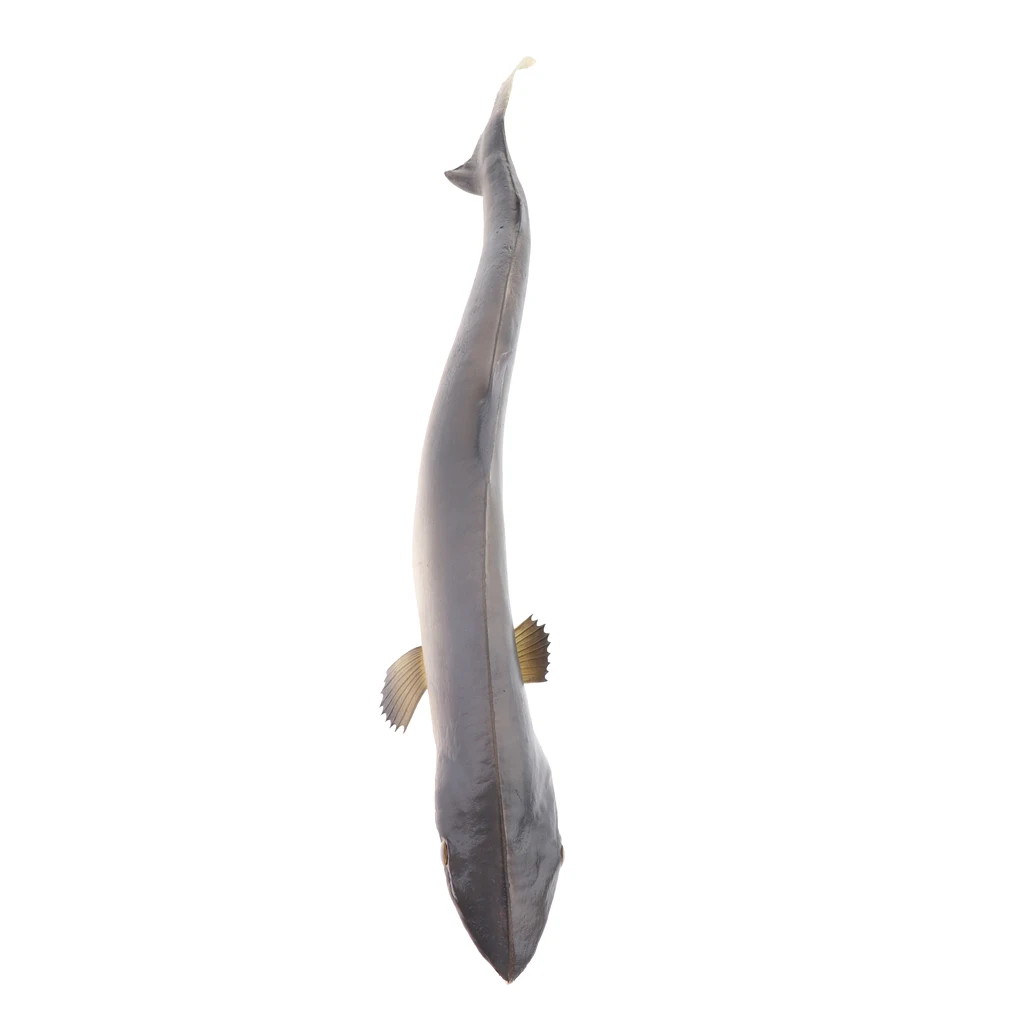 

Perfect Small Marine Model Simulation for Tank Home Decor