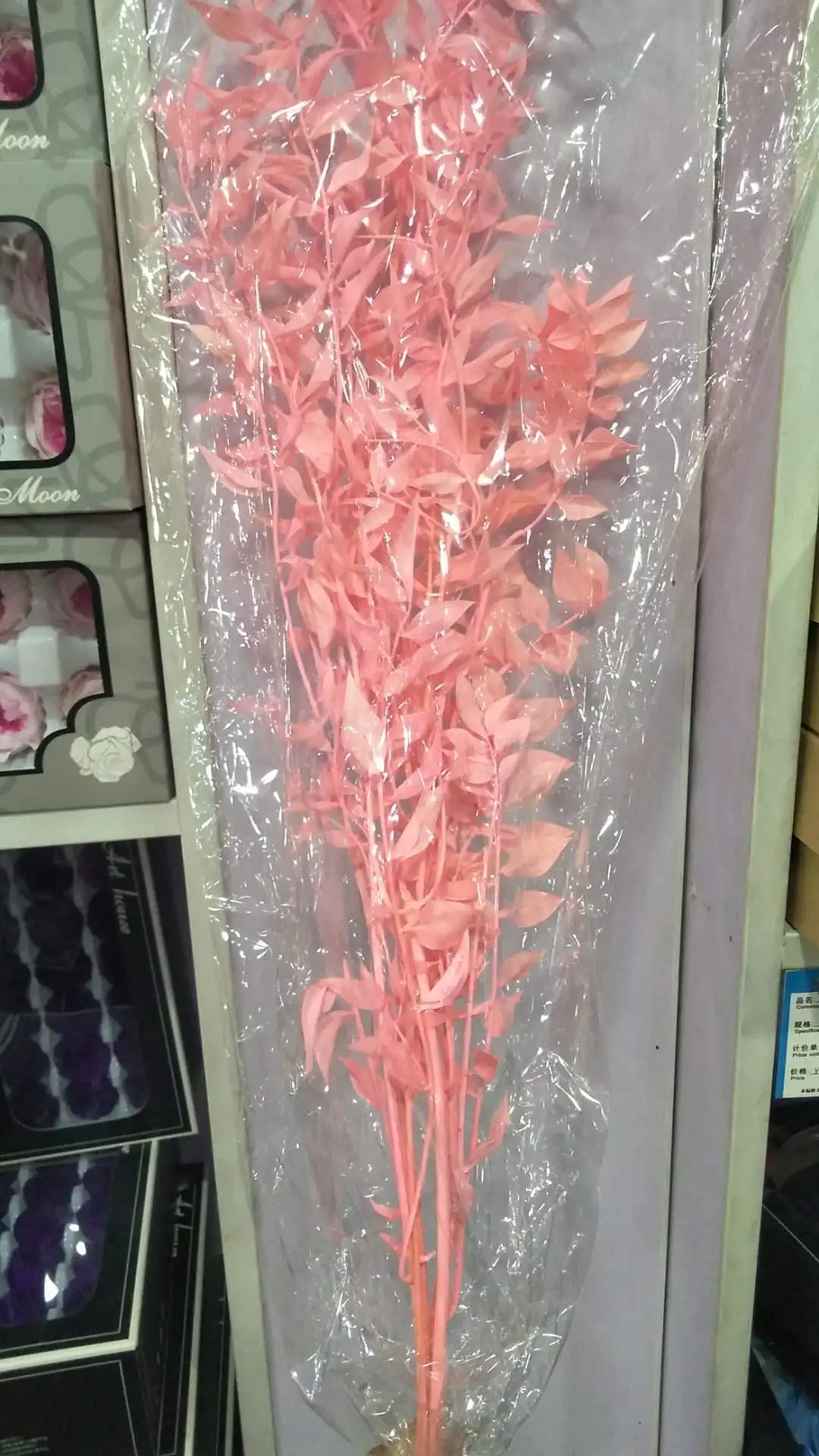 Натуральные настоящие консервированные насыщенные листья ветка рускуса 45-50 см