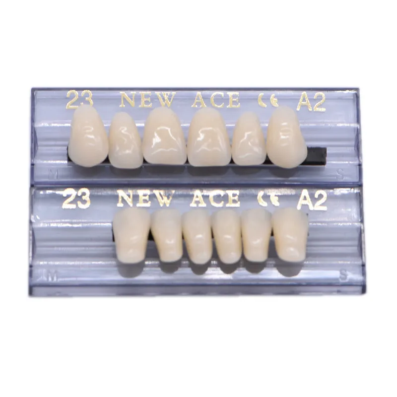 168 pieces/6sets /box Dental Synthetic Polymer Teeth Full Set Resin Denture Dental Teeth Color A2 A3 Size 23 Dentist Materials