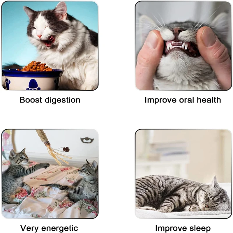 Забавная кошачья молярная палочка антирасточная игрушка расслабляющая