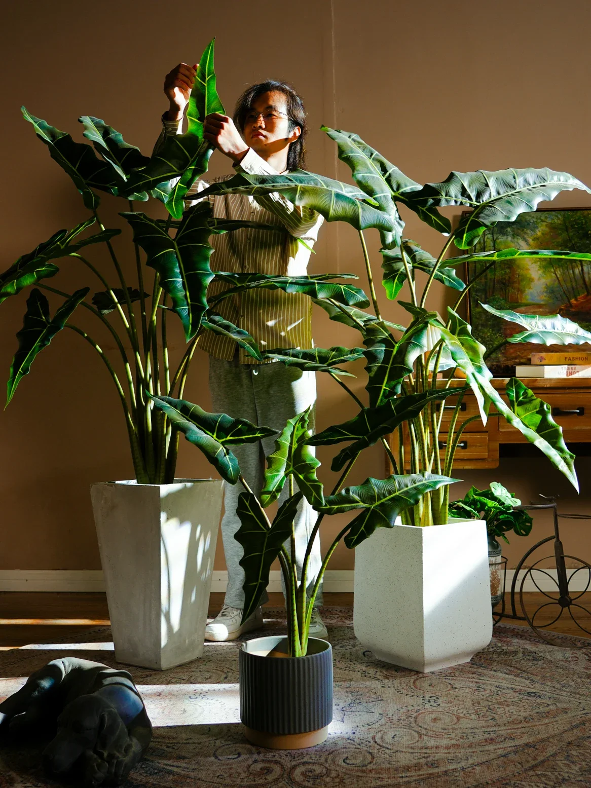 TLL Sali Anhai Таро горшок искусственные деревья бионические украшения