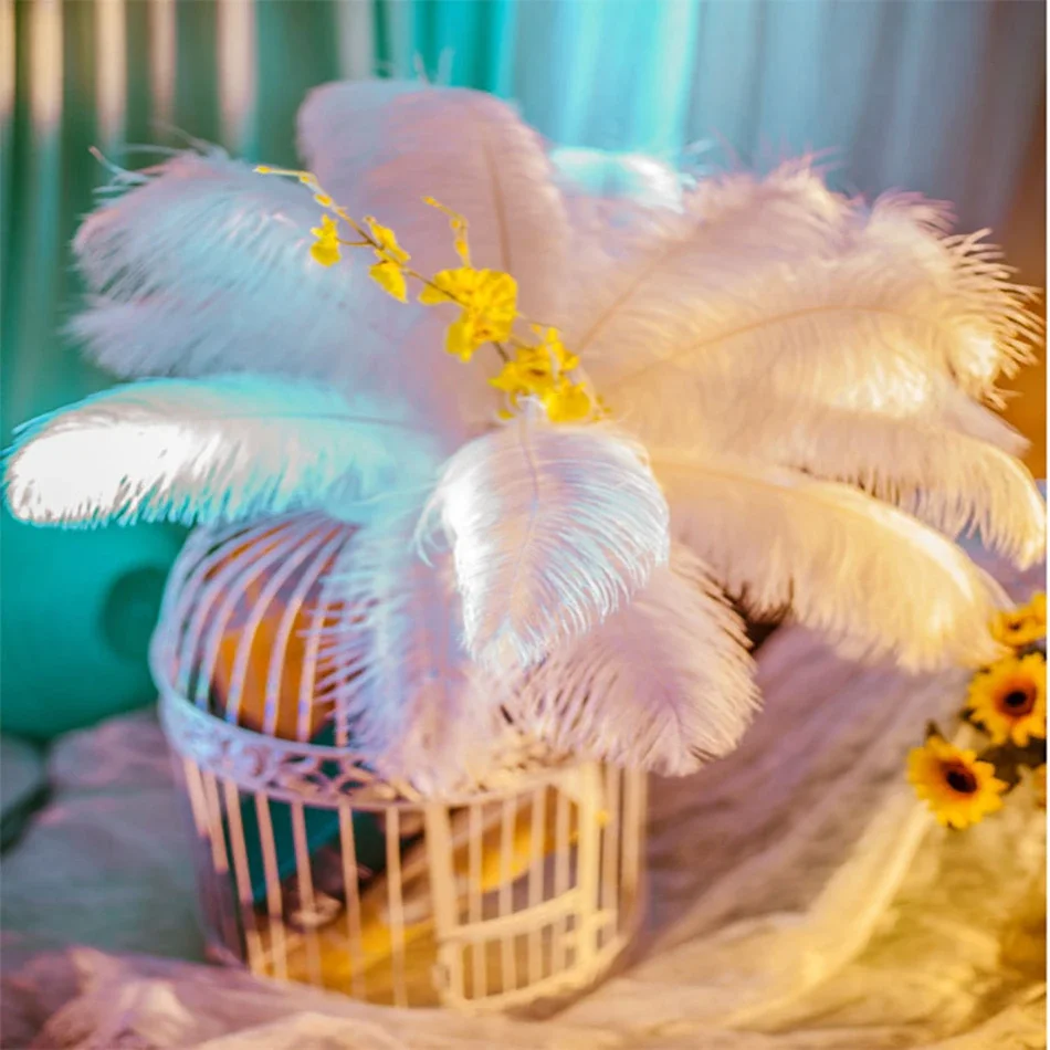 

10/20Pcs DIY Natural Large Feather White Wedding Feather Ostrich Plume Crafts Jewelry Making Party Christmas Home Decor 15-70CM
