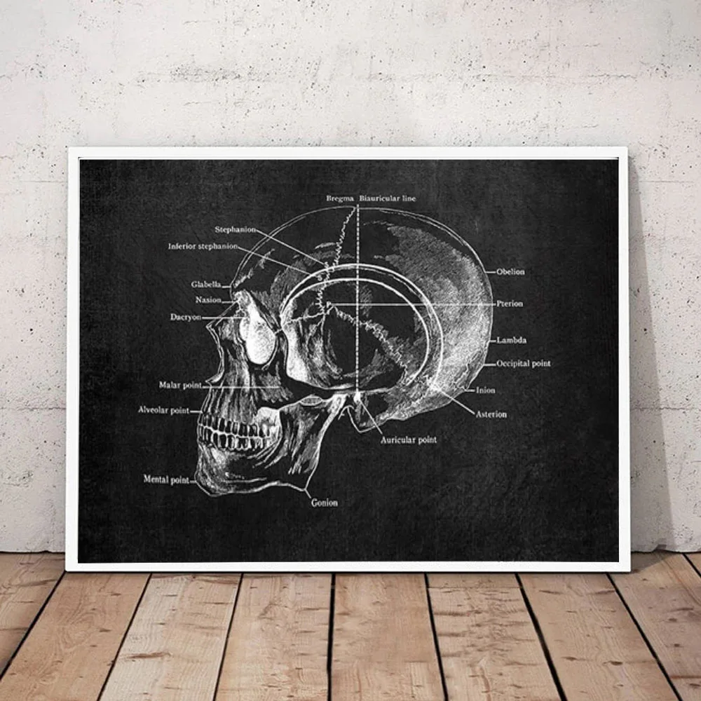 Плакат на холсте с изображением цветов |