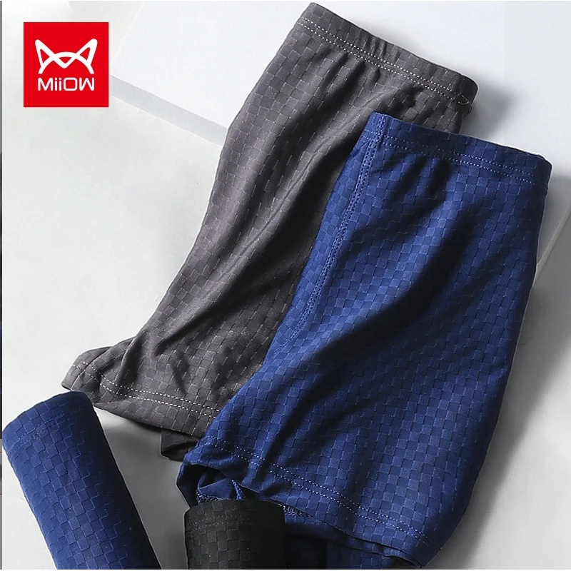 Men's Boxer Mesh Briefs Ice Mesh Shorts