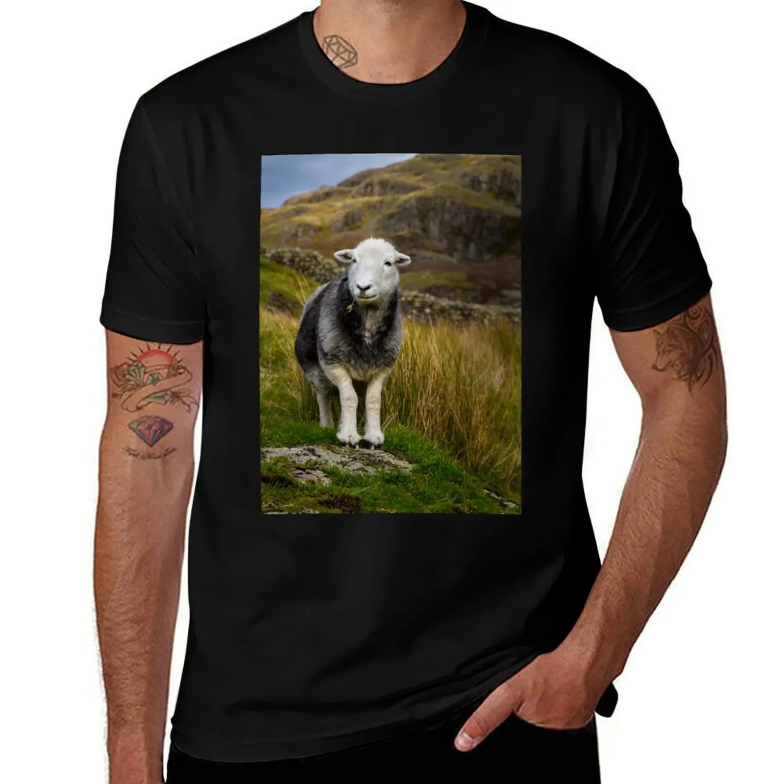 Фото Футболка с изображением овец Herdwick, рабочая одежда, футболка с короткими рукавами №1