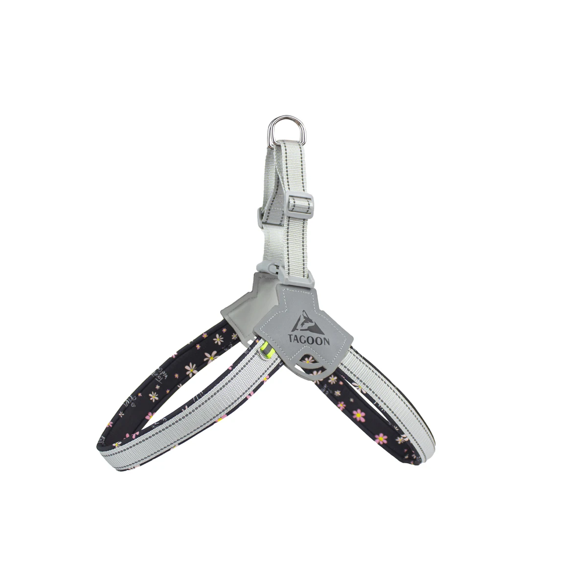 

greyhound bozal perro grande doberman cane corso colier pour chien