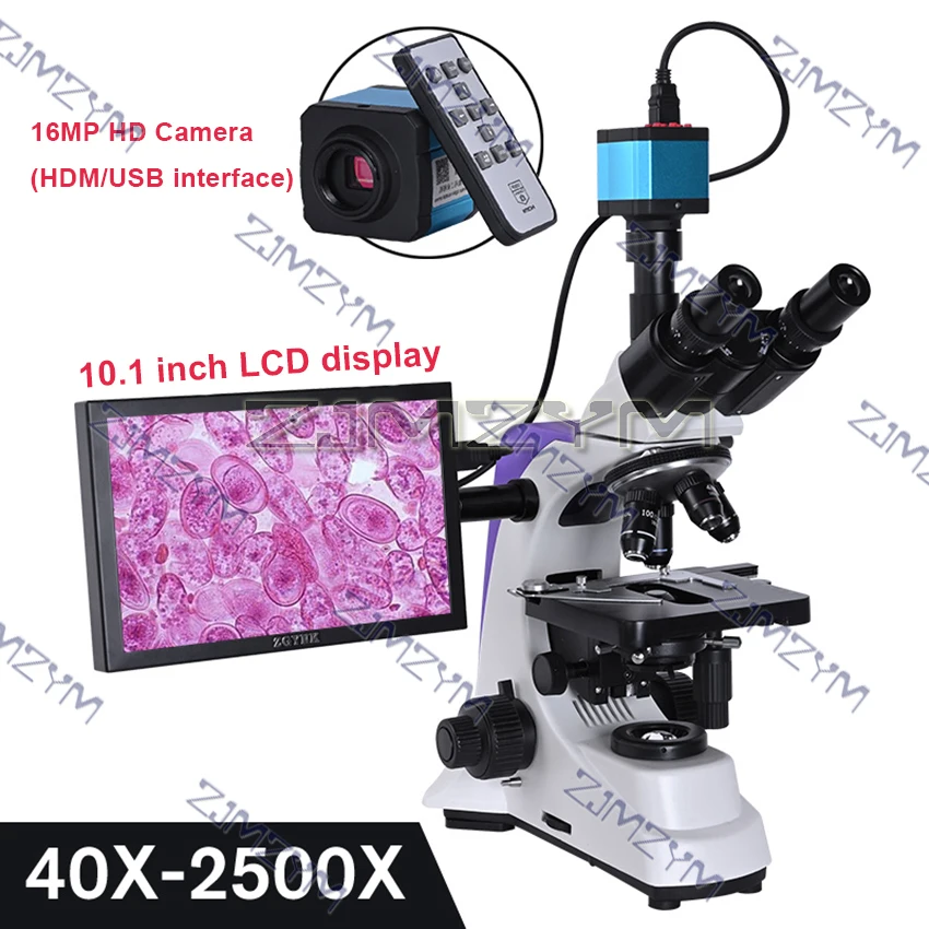 

Профессиональный лабораторный биологический HD тринокулярный микроскоп с зумом 2500X + 2/16MP электронная цифровая камера USB HDMI VAG + 10-дюймовый ЖК-дисплей