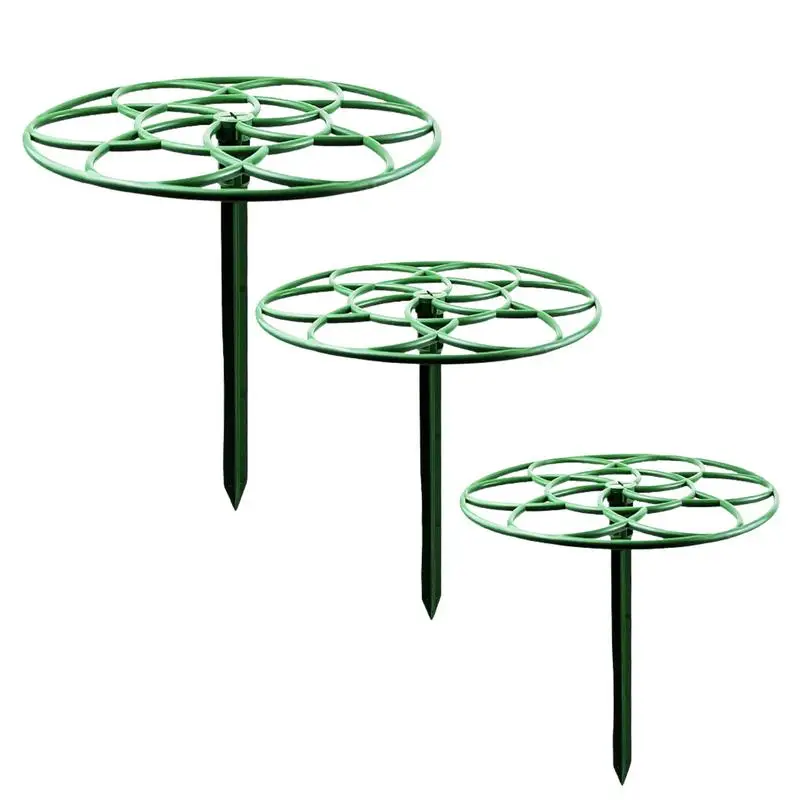 

Garden Plant Stake Support Stake Lollipop Stand Lollipop Stand Flower Cage Support Ring Climbing Trellis For Sunflower Plant