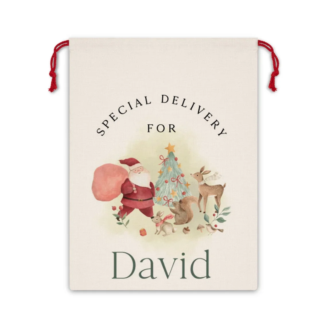 Персонализированный рождественский мешок HGDTFF