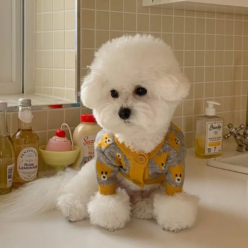 Pet Dog Cute Bear Head Sweater Autumn and Winter Puppy Knitwear Teddy Warm Leg Shirt Soft Open Buttoner Pet Supplies