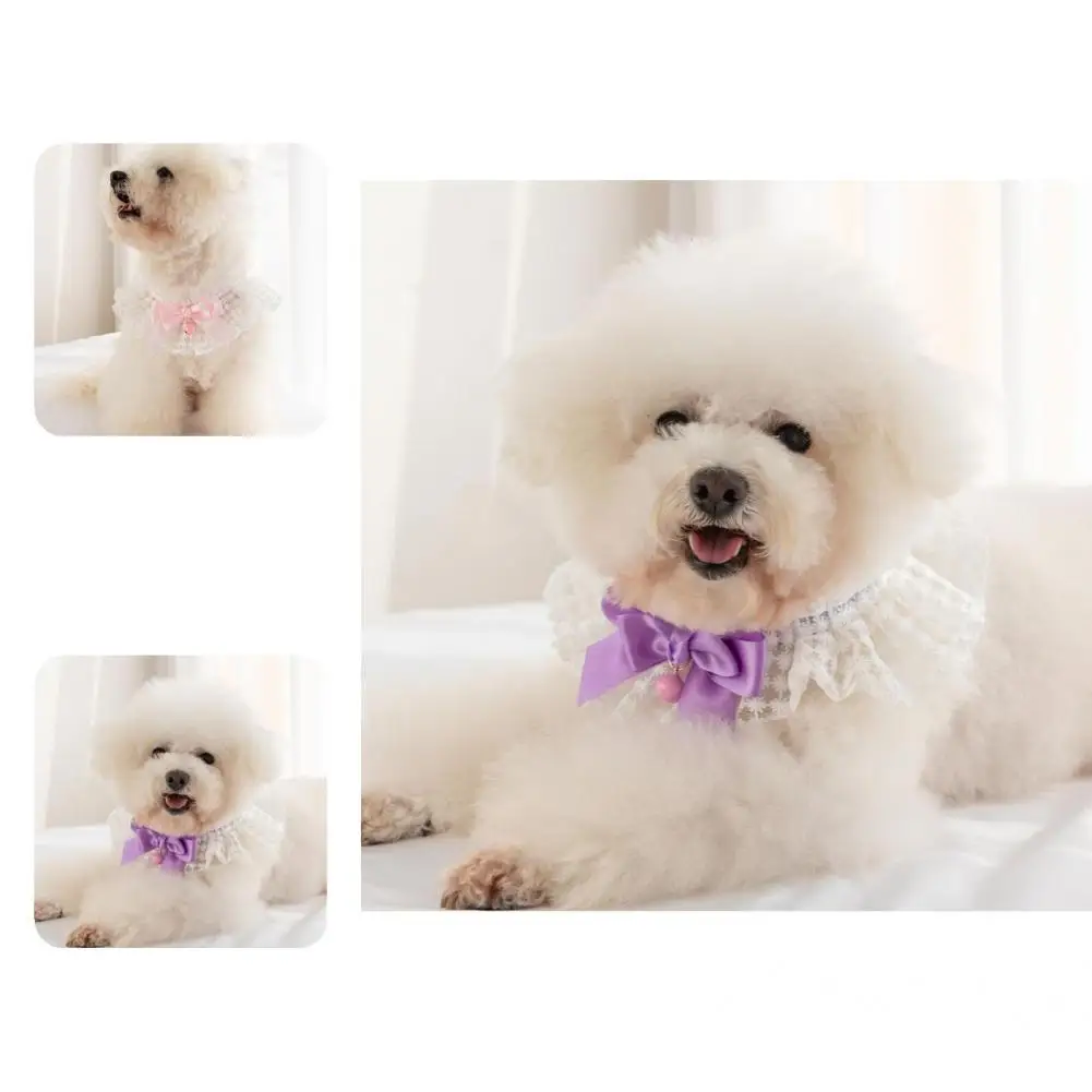 Bow Necklace Fashionable Costume Smell-less Kitten Puppy Collar for Outdoor Bowknot Pet |