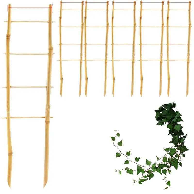 

Bamboo Trellis 6 Pcs Flower Climbing Trellis Stem Support Stakes For Climbing Grape Vines Pothos Flower Arbor Monstera