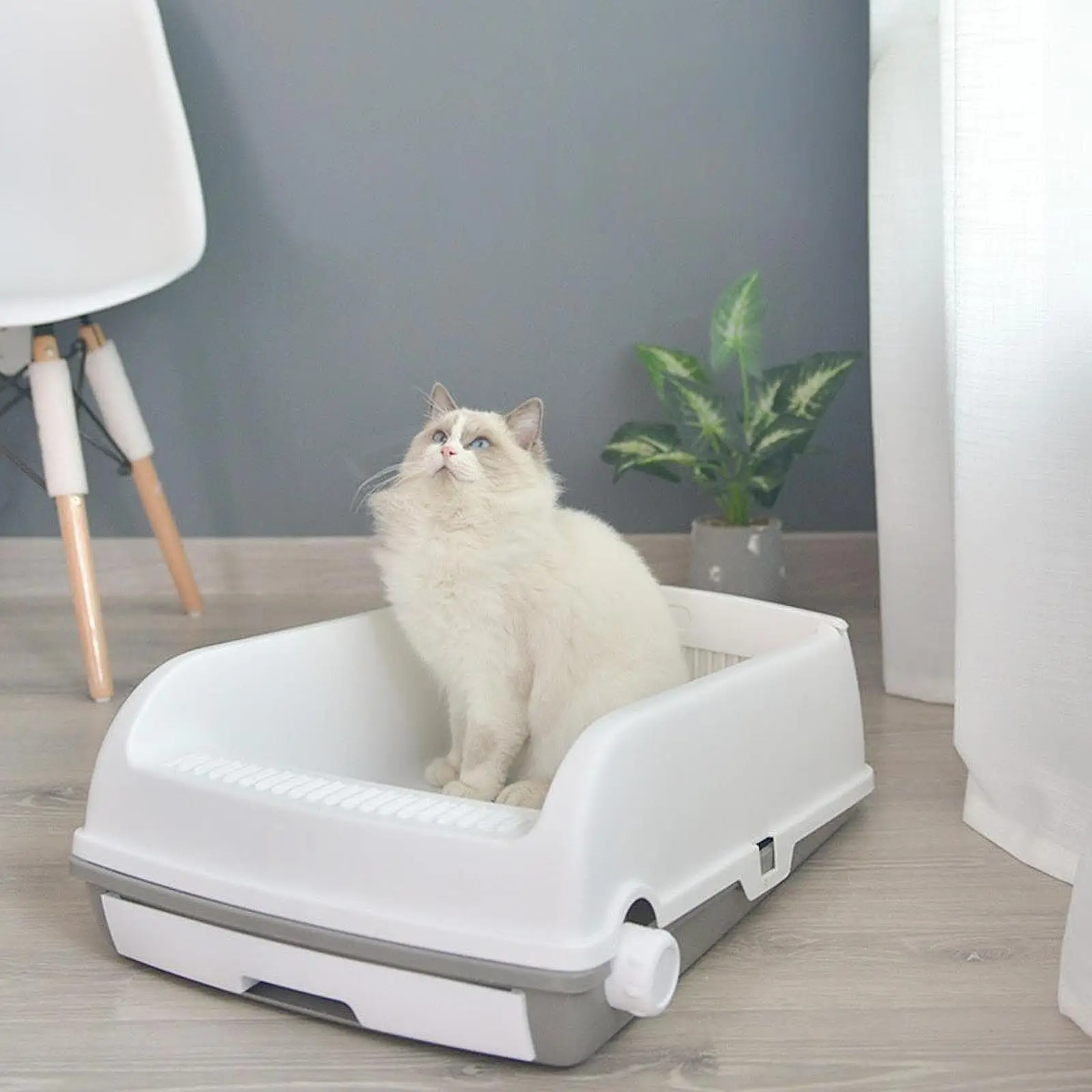 Open Litter Box Drawer Type Kitty Pan Portable Bedpan Cat Toilet Sandbox Semi Enclosed for Hamster Small Pets