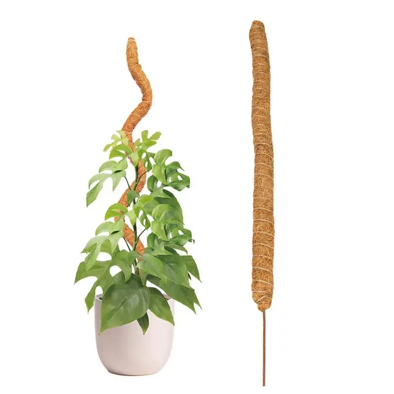 

Bendable Coco Coir Plant Stakes Natural Moss Pole For Monstera And Potted Plants To Grow Upwards Coco Plant Pole For Indoor