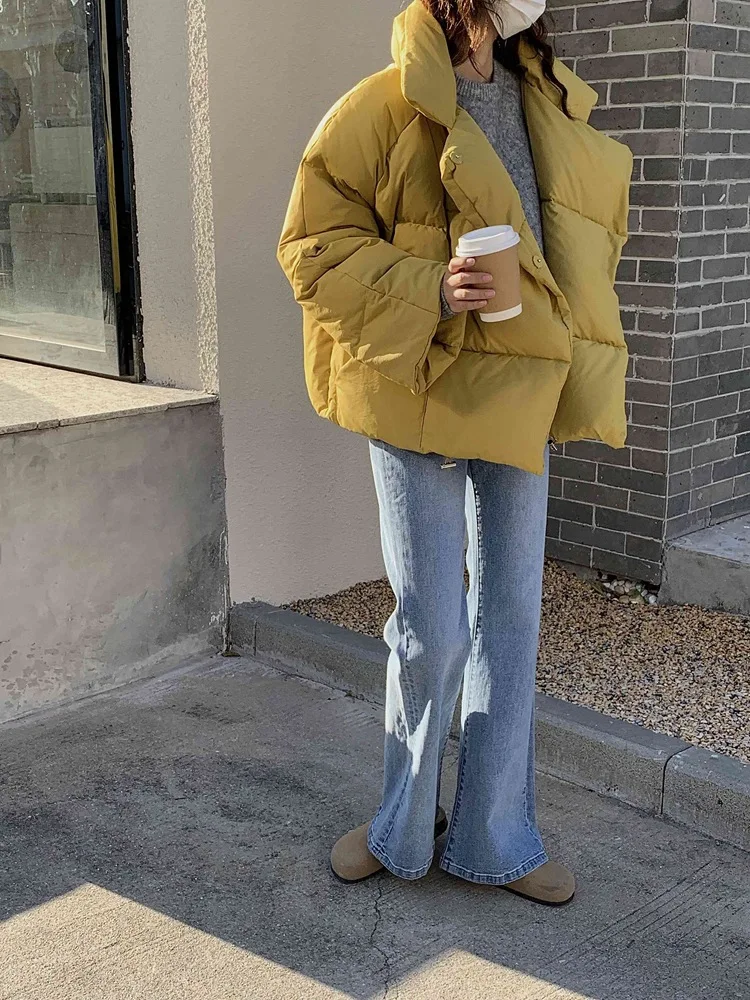 Korean Version of The Loose Stand Collar Thickened Down Jacket Women's Winter Small Popular New Thin Short Jacket Puffer Jacket