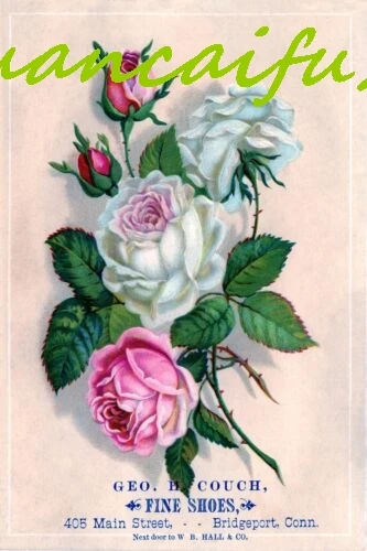 SJKY Розы Картина Ботаническая Иллюстрация Реклама Винтажного Стиля на Новой