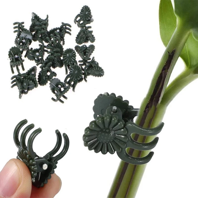 

20/50/100PCS Plant Clips Vine Clamp Plant Support for Grafting Tomato Butterfly Orchid Flowers Clip Garden Accessories Tools